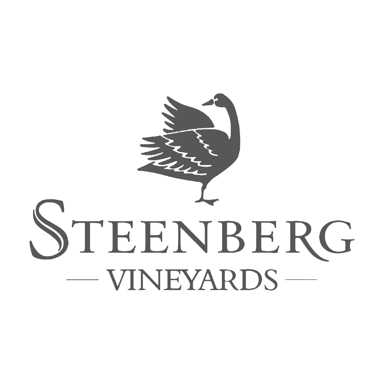 Steenberg Vineyards logo