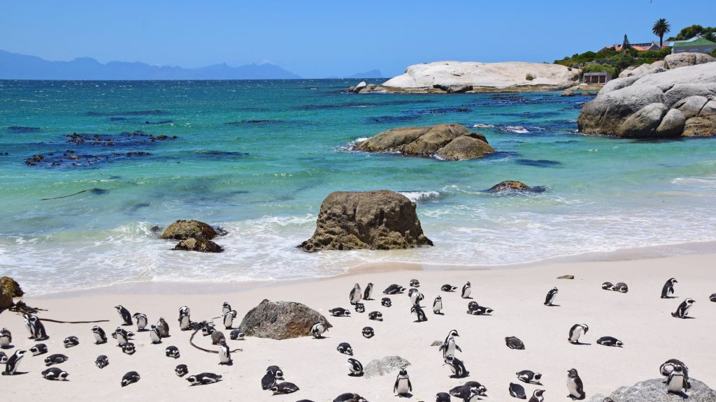 Boulders Beach