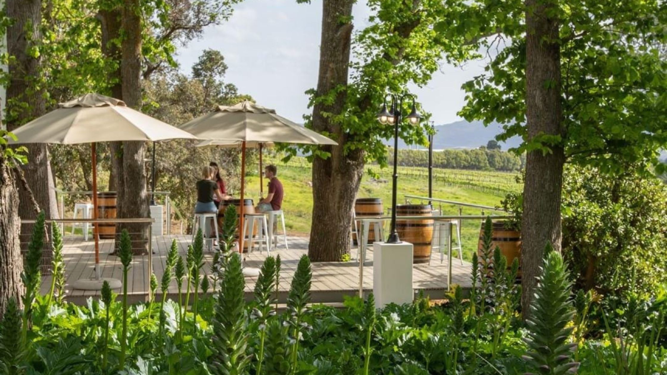 Elgin Vintners