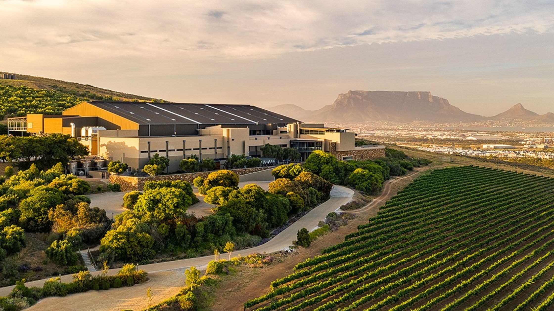 Top 5 Cape Wine Regions: Durbanville Hills