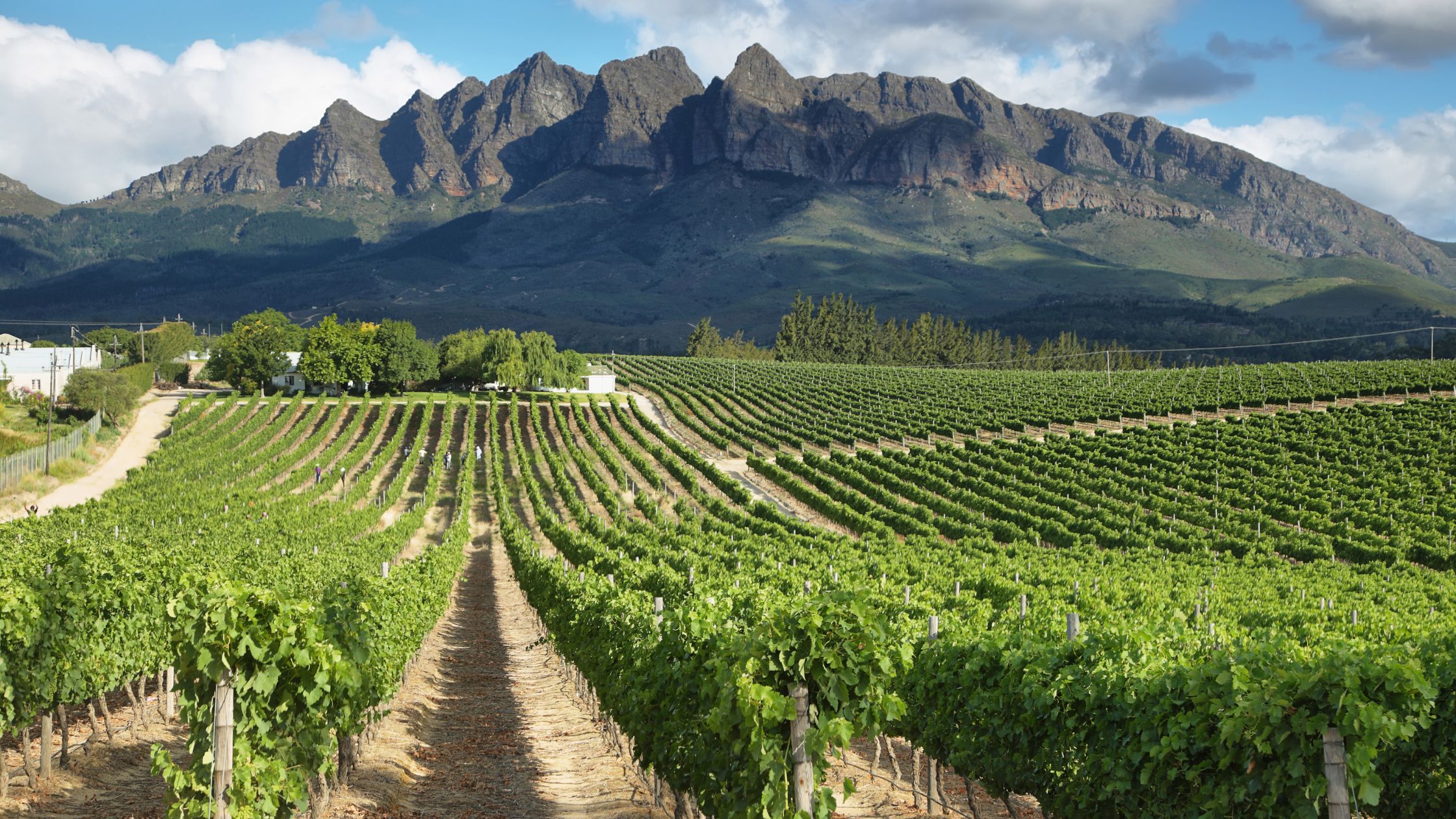 Wellington Winelands